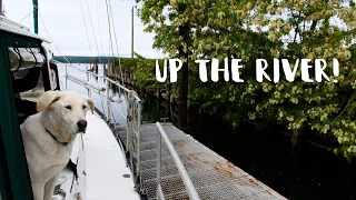 Up The River in Our Sailboat & Timing the Discovery Passage | Chapter 3 Episode 7 | The Wayward Life