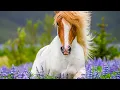 Download Lagu Beautiful Relaxing Music, Peaceful Soothing Instrumental Music, \