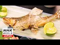 Download Lagu EEN HEERLIJKE VANGST: Ayu Experience - Dig More Japan