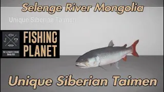 fishing planet unique siberian taimen selenge river mongolia