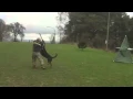 Champy Training February 2016