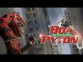 BOA VS PYTHON 2004 RCEEN TIME