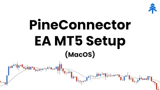 PineConnector - MT5 Setup for MacOS