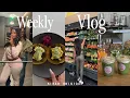 VLOG life is a mf back into routine anti inflammatory meals girls night out body treatments