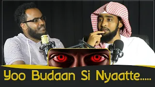 Ajiib Qoricha Budaa Karaa Gurguddaa Lamaan Yaalama Kutaa 3ffaa Ustaz Ibsaa Hasan 