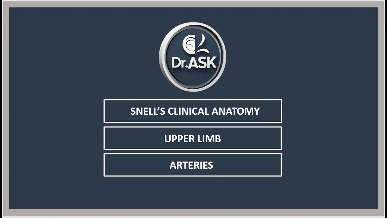 Arteries of Upper Limb / Axillary Artery / Brachial Artery / Radial Artery / Ulnar Artery / Snell's