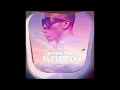 DJ ZERFLY - ATTISE TON BUTTERFLY VOL.3 (DEMBOW, SHATTA, BOUYON, AFRO, DANCEHALL, REGGAE, KOMPA)