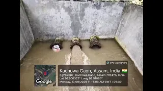                     دندنها