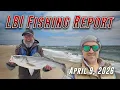 LBI Fishing Report April 9 2026 - Bay River Offer Fun Striped Bass Fishing