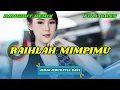 Lagu DJ DANGDUT REMIX | RAIHLAH MIMPIMU - VIRAL TIKTOK TERBARU | DJ REMIX FULL BASS | DJ X PRO