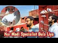 Lagu Nar Madi Specialist Bula Liya Sath Joro K liyae Bacha Roka | Hashim Mahmood Pigeons 