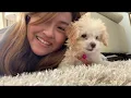 Leanne & Naara - Evergreen MV (You Keep Me Alive)