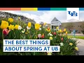 What Do You Love Most About Spring at UB University at Buffalo