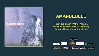 amandebele duncan senyatso official audio 