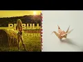 Kesha/Pitbull | Timber/Origami [mashup]