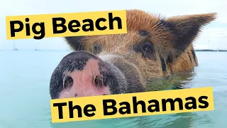 Bahamas – Cape Eleuthera Marina & Pig Beach