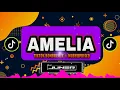 Download Lagu 🏝️AMELIA🏝️DISCO TIKTOK MIX|☑️ DJ JUNER DULABAY REMIX