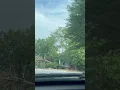 Storm Damage from last night Decatur GA