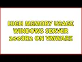 High memory usage Windows Server 2008r2 on VMware 4 Solutions