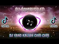 Download Lagu DJ PAMBISILET SLOW BEAT VIRAL TIKTOK DJ AYAMAYAM VIRAL Remix
