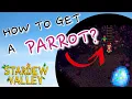 How to get a parrot in Stardew Valley Parrot Egg Stardew Valley
