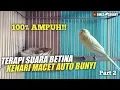 Download Lagu Pancingan suara kenari betina birahi untuk TERAPI KENARI MACET bunyi