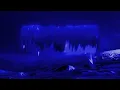 Deep Sleep Healing Music | Alpha→Theta→Delta Brain Waves for Full Relaxation & Fatigue Recovery