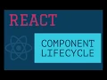 React Component Lifecycle Explained