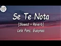 Lele Pons _ Guaynaa - Se Te Nota [Slowed + Reverb] (Letra/Lyrics Video)