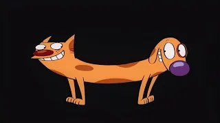 Котопёс заставка HD 