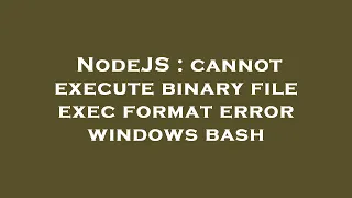 NodeJS cannot execute binary file exec format error windows bash