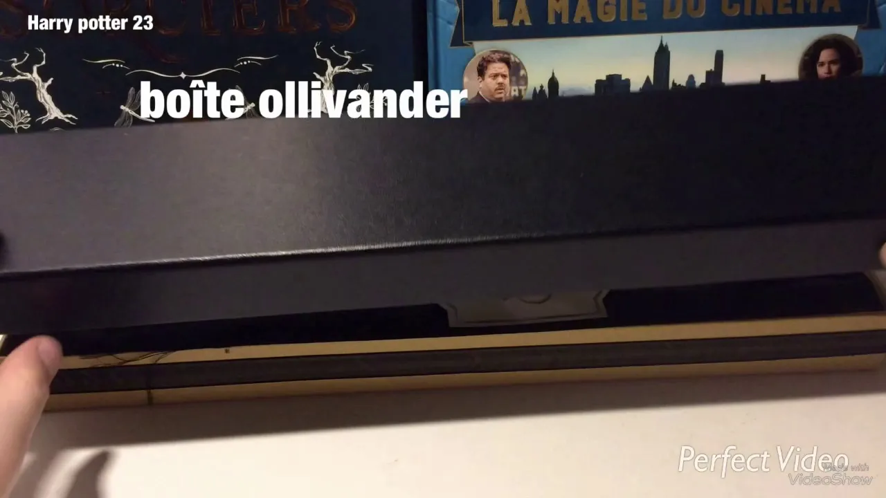 baguette Voldemort boîte ollivander