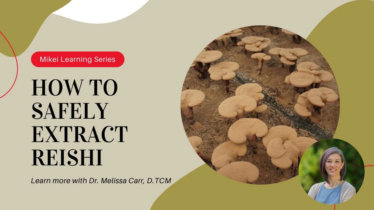 Outline Video How to safely extract red reishi?