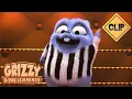 Download Lagu 🥋 Parcours de combattants 🐻🐹 Grizzy \u0026 les Lemmings / Cartoon