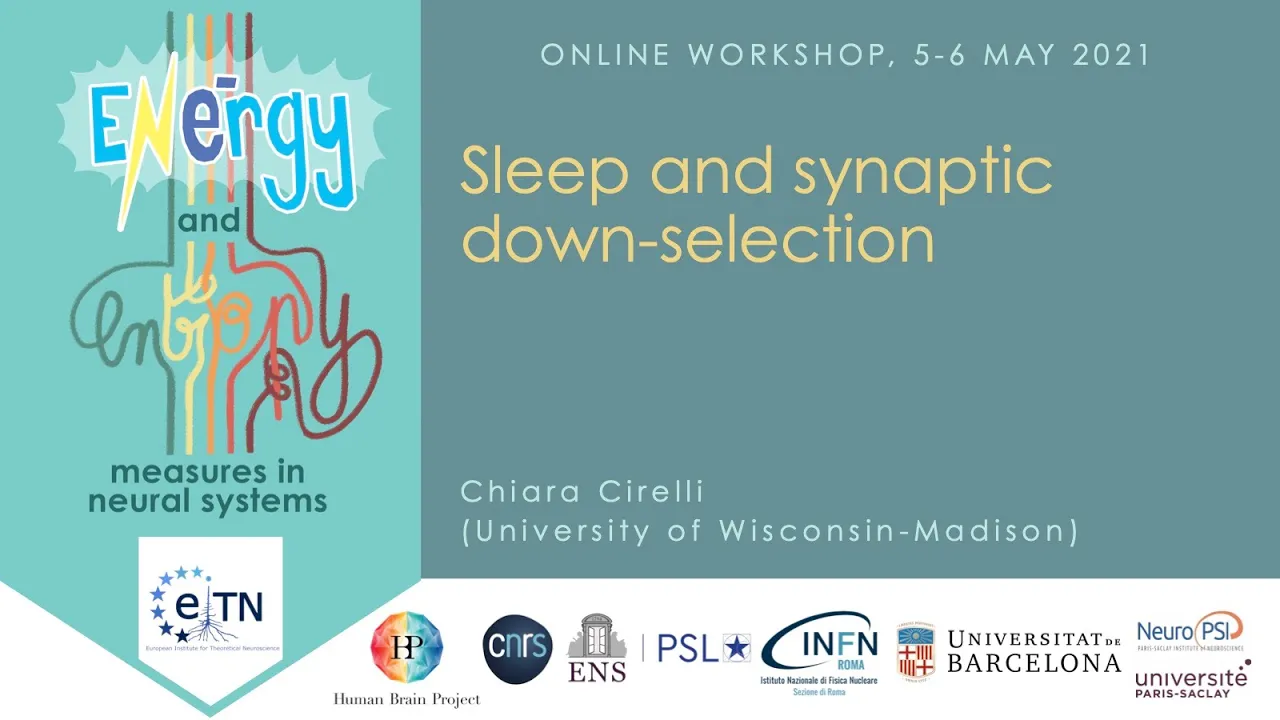 Chiara Cirelli - Sleep and Synaptic Down-selection