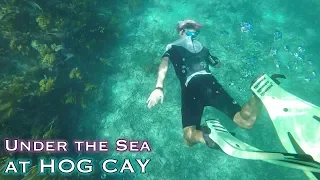 BV8: Explorkeling Under the Abaco Sea at Hog Cay