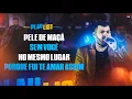 Download Lagu Belluco - Pele De Maçã / Sem Você / No Mesmo Lugar / Porque Fui Te Amar Assim (EP Playlist)