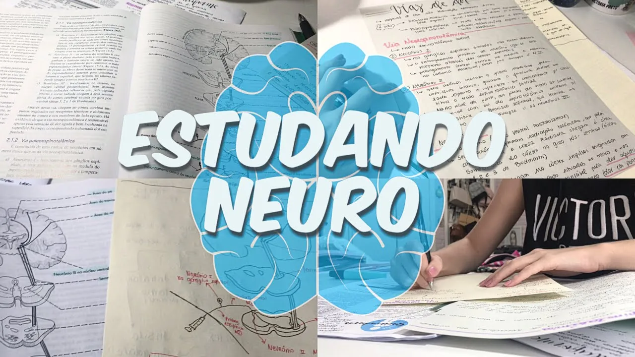 ESTUDANDO NEURO 🧠 📖 - STUDY VLOG | Chiclete Violeta
