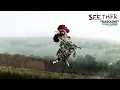 Seether - "Gasoline" (Disclaimer Deluxe Edition/Official Visualizer)