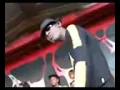 Wolosso  version maquis  inédit
