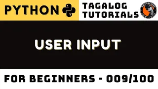 Python User Input Explained How Input Handling Works Step by Step