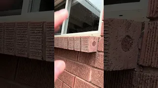 Buying New Replacement Windows from Homedepot Lowes or Menards Silver Fox Discussion