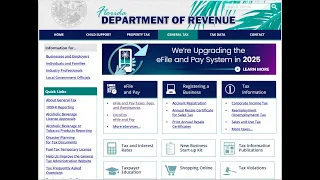Step-by-step guide how to file the new Florida business sales tax DR-15