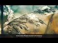 Download Lagu Ustadz hanan attaki libatkan Allah dalam segala hal