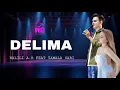 Download Lagu DELIMA||HALILI||OM MEGA MUSIC