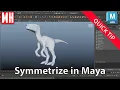 Master Maya s Symmetrize Tool A Comprehensive Guide