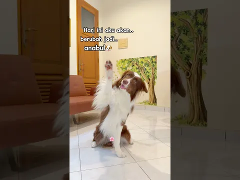 IKUTAN TREND BERUBAH JADI ANABUL‼️😂🐶 #shorts #anjinglucu