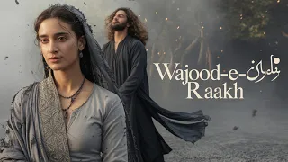 wajood e raakh a sufi love qawwali that will touch your soul sufi shahzeb official