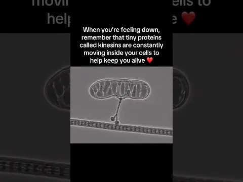 FYI