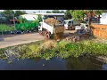 Download Lagu WONDERFUL Start New Project Landfill using soil rock By Skill Expert dozer with 5T Truck Transport